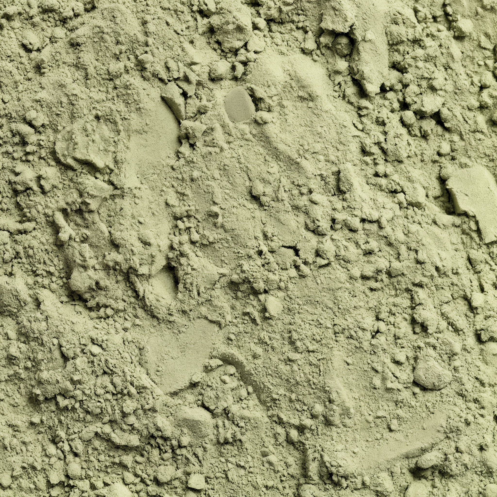 AXTARA Daily Greens detail view